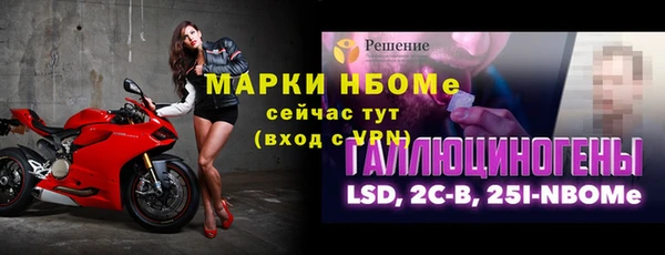 гидра Новодвинск