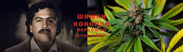 гидра Новодвинск