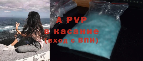 гидра Новодвинск