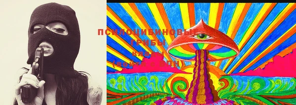 гидра Новодвинск