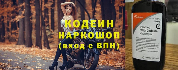 гидра Новодвинск