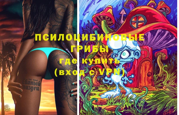 твердый Няндома