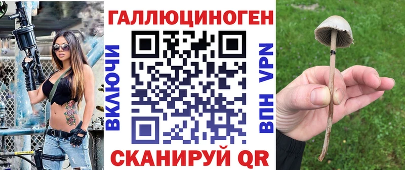 Псилоцибиновые грибы GOLDEN TEACHER  закладки  Берёзовский 